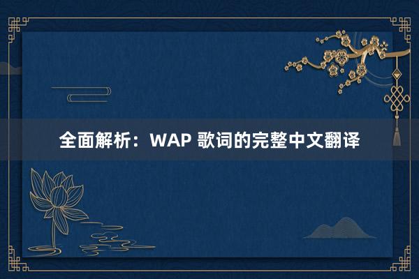 全面解析：WAP 歌词的完整中文翻译